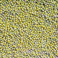 lentilhas verdes HPS qualidade exportação verde seco / lentilhas